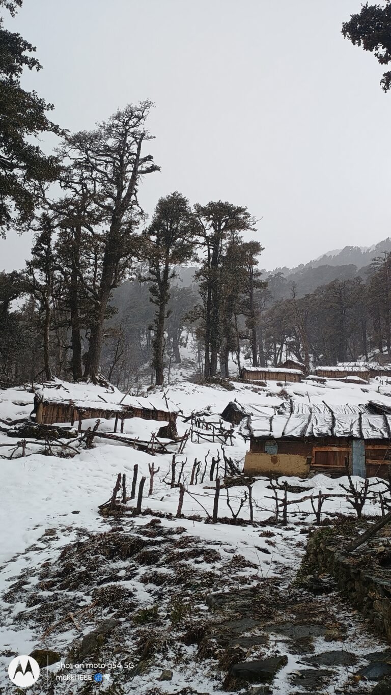 dayara bugyal in winters
