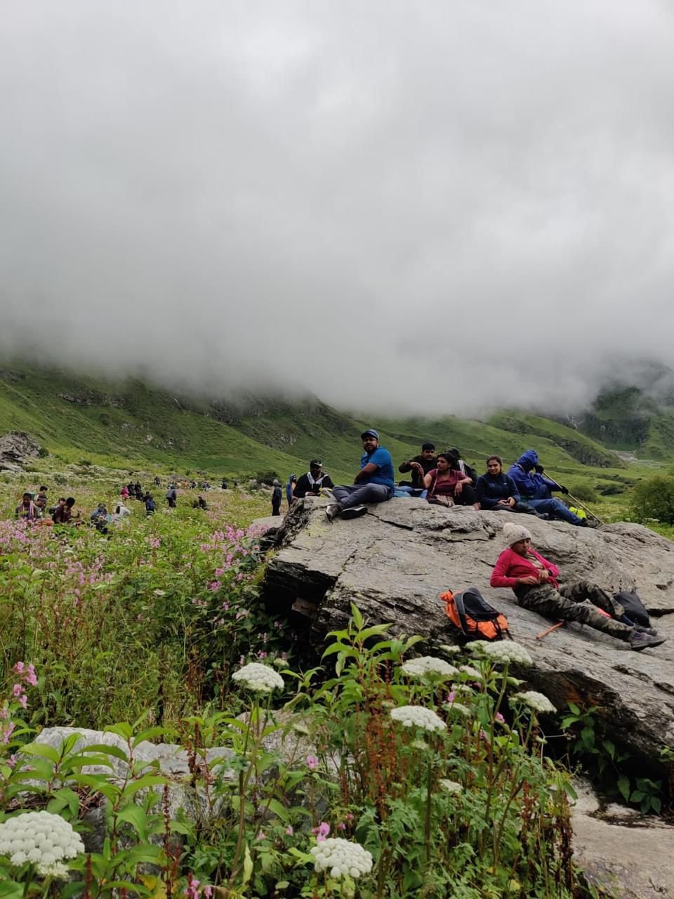 Monsoon greenery