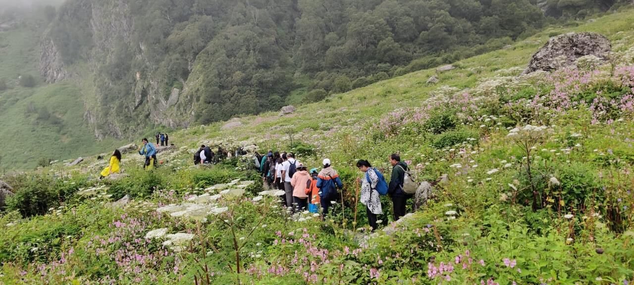 Valley of Flowers Panorama